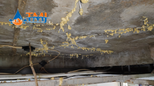 Injeksi beton dak atap